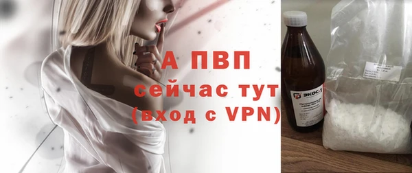 ГАЛЛЮЦИНОГЕННЫЕ ГРИБЫ Заволжск
