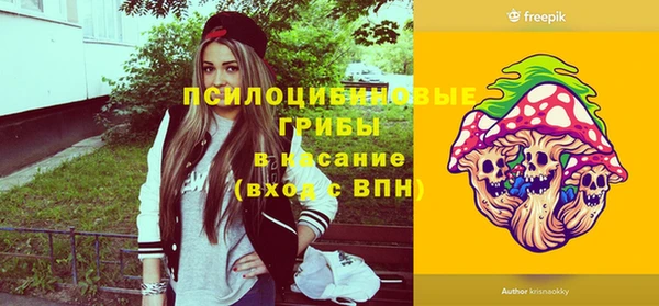 ГАЛЛЮЦИНОГЕННЫЕ ГРИБЫ Заволжск