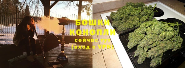 ГАЛЛЮЦИНОГЕННЫЕ ГРИБЫ Заволжск