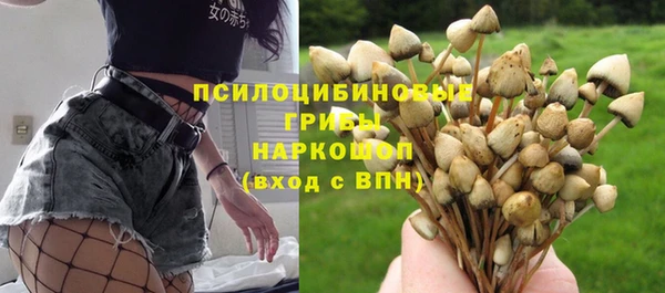 соль ск Заволжье