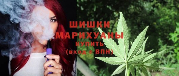 ГАЛЛЮЦИНОГЕННЫЕ ГРИБЫ Заволжск