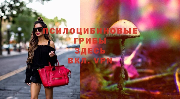 ГАЛЛЮЦИНОГЕННЫЕ ГРИБЫ Заволжск