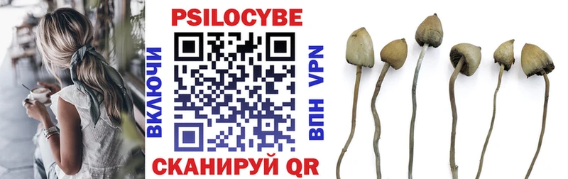 Псилоцибиновые грибы MAGIC MUSHROOMS  дарнет шоп  Ипатово 
