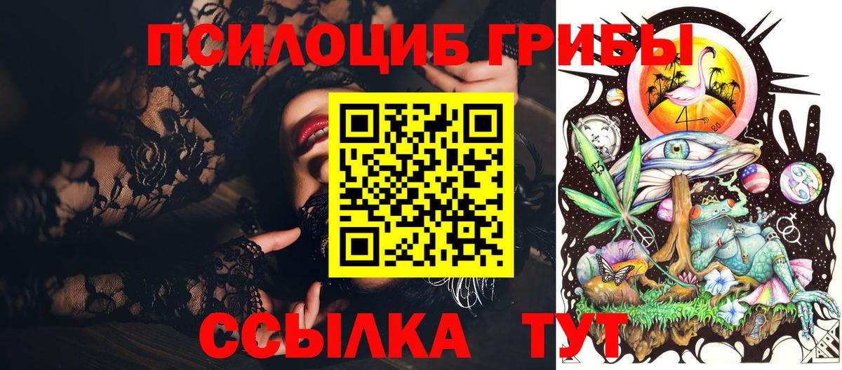 Ипатово  Галлюциногенные грибы прущие грибы  Вход с VPN 